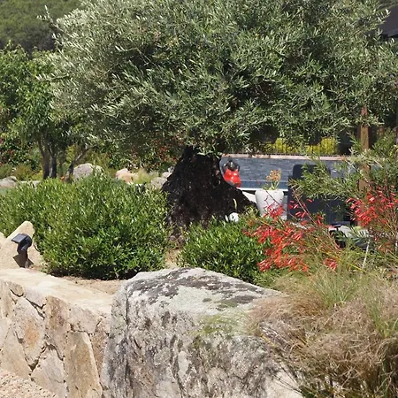 Les Jardins De Santa Giulia - Charmante Dhte 1 Porto-Vecchio (Corsica)