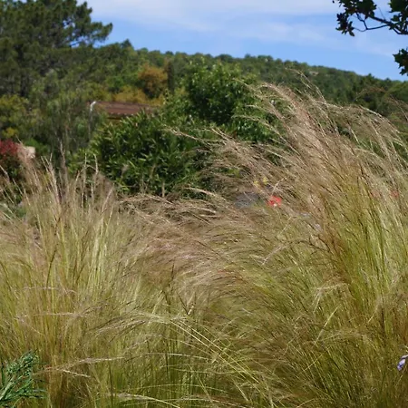 Les Jardins De Santa Giulia - Charmante Dhte 1