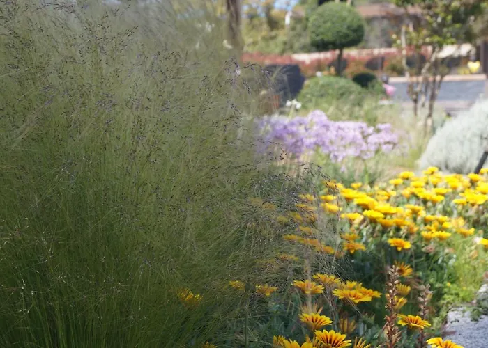 Penzion Les Jardins De Santa Giulia - Charmante Dhte 1 Porto-Vecchio (Corsica)