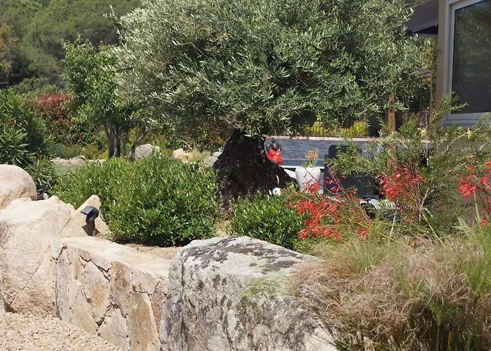 Les Jardins De Santa Giulia - Charmante Dhte 1 Porto-Vecchio (Corsica)